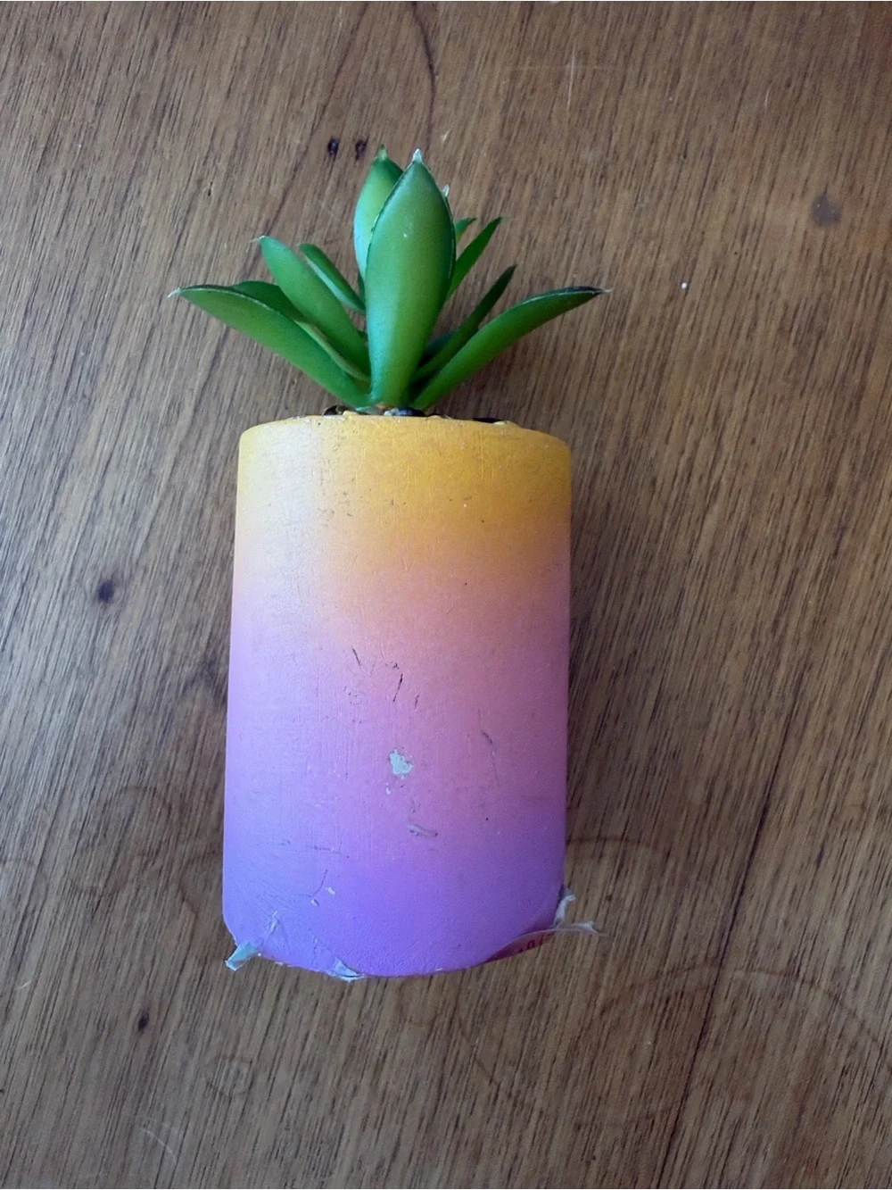 Hobby Lobby Gradient ombré Mini Succulent Planters